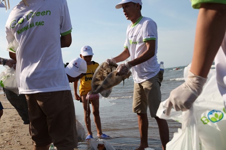 Hàng trăm đoàn viên thanh niên đi dọc bãi biển nhặt rác...