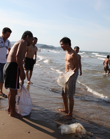 Chiến lợi phẩm từ biển. 