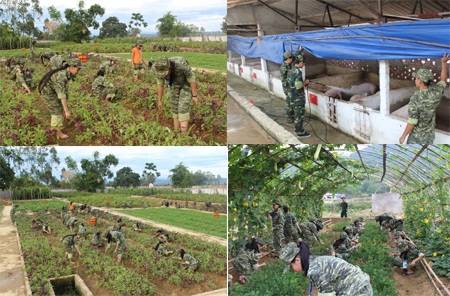 Các em tập và chăm sóc vườn rau, nuôi lợn...