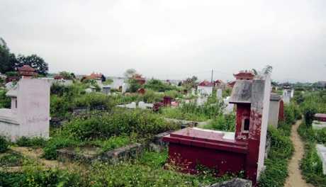 Nhiều phần mia mộ không có người hương khói.