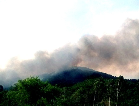 Ngọn lửa cháy nhanh trên khu vực rừng Hủn Vàng.