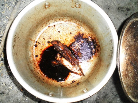 Cơ hàn gia đình có 3 con "ra ngẩn vào ngơ" - 7 Bữa cơm chỉ có 2 con cá kho bé xíu.