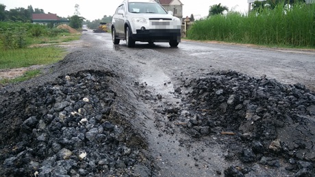 Những vồng khoai nở bung...