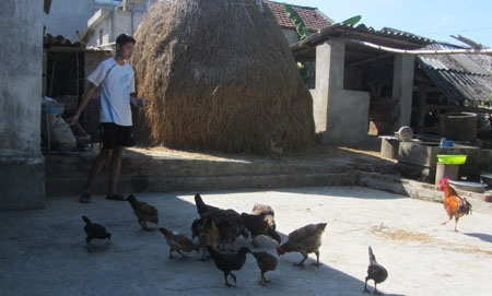 Thủ khoa Hoàng Nghĩa Bính cùng bố mẹ trước căn nhà sắp sập