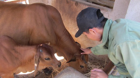 Thủ khoa Hoàng Nghĩa Bính cùng bố mẹ trước căn nhà sắp sập