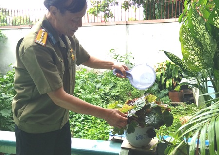Ký ức không thể phôi phai của người lính không quân - 4 Đại tá Hoàng Thước trong cuộc sống đời thường hôm nay