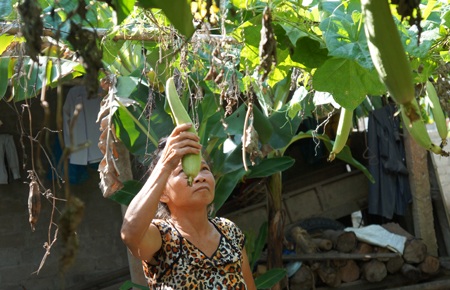 Nói chuyện cùng phóng viên, thi thoảng bà Huệ lại chạy ra cửa đứng khóc