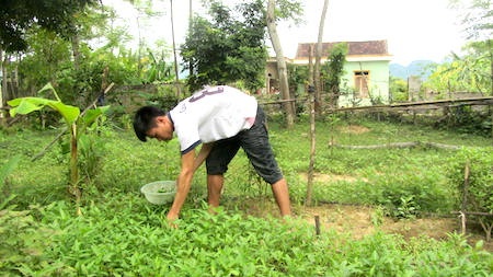  Hàng ngày Tú giúp đỡ mẹ công việc đồng ruộng, việc nhà, hái rau...