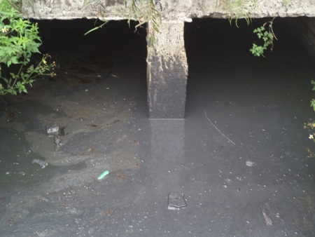  Hiện trường nước thải ngày 19/8.