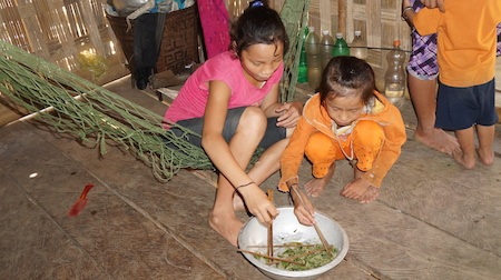 Khi được hỏi về ăn loại thức ăn này, các em cho biết cây rừng...