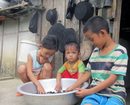 Bữa ăn của các em chỉ có cơm trắng và mấy con ốc bắt ở khe suối gần nhà.