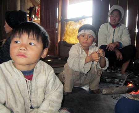 Lại đau lòng chuyện gỗ đè chết người - 3