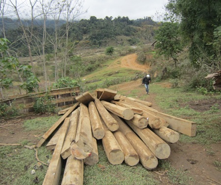 Lại đau lòng chuyện gỗ đè chết người - 2