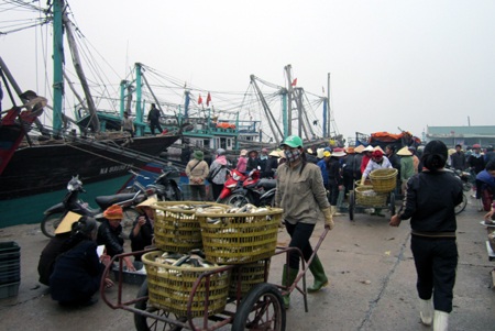 Ngư dân “xuất quân” cầu may ngày đầu năm mới - 5