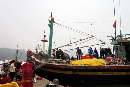 Ngư dân “xuất quân” cầu may ngày đầu năm mới - 2