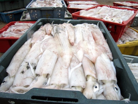 Ngư dân “xuất quân” cầu may ngày đầu năm mới - 7