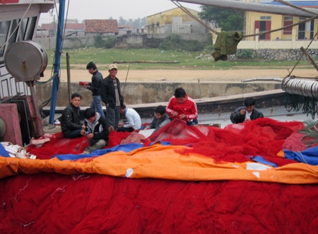 Ngư dân “xuất quân” cầu may ngày đầu năm mới - 1