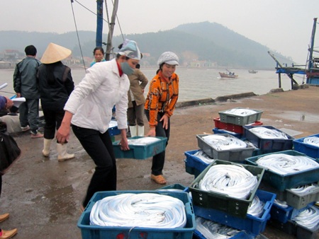 Ngư dân “xuất quân” cầu may ngày đầu năm mới - 6