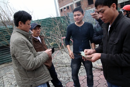 Đào Lào vừa xuống phố đã được trả giá chục triệu - 7