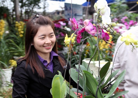 Sắc xuân ngập phố - 3