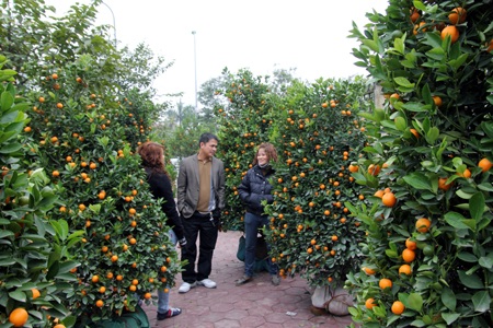 Sắc xuân ngập phố - 13