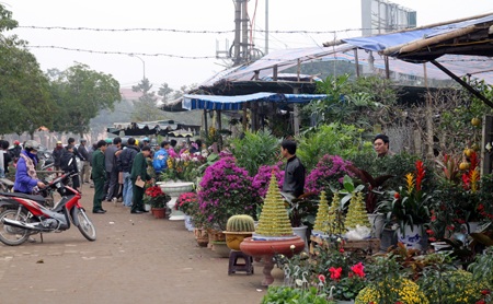 Sắc xuân ngập phố - 14