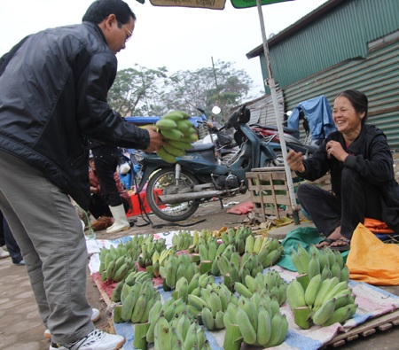 Chuối Tết lên giá như tằm ăn rỗi - 3