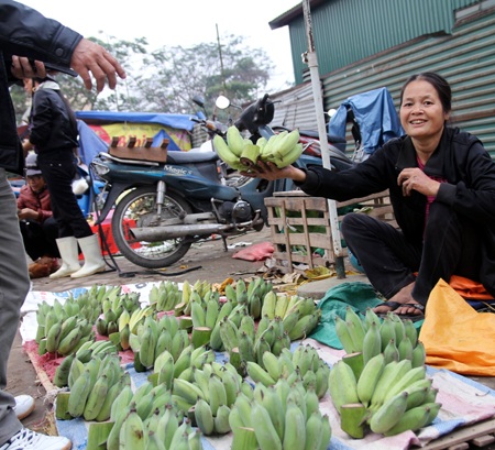 Chuối Tết lên giá như tằm ăn rỗi - 2