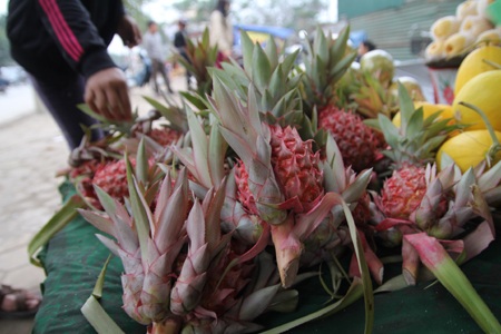 Chuối Tết lên giá như tằm ăn rỗi - 4