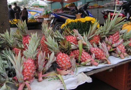 Chuối Tết lên giá như tằm ăn rỗi - 5