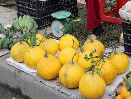 Chuối Tết lên giá như tằm ăn rỗi - 9