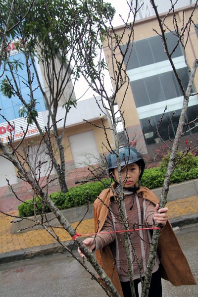 Những đứa trẻ mưu sinh trong giá lạnh trước giao thừa - 2