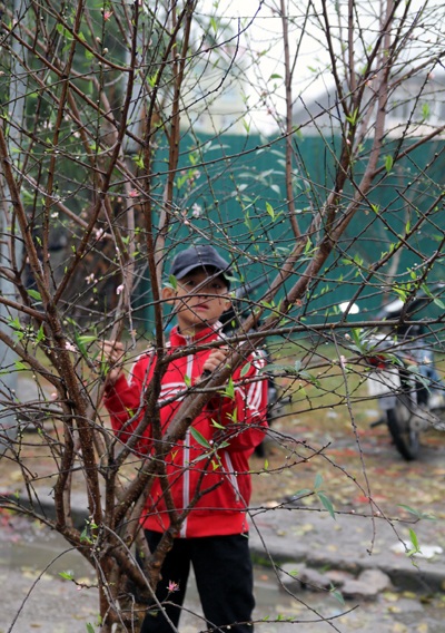 Những đứa trẻ mưu sinh trong giá lạnh trước giao thừa - 7