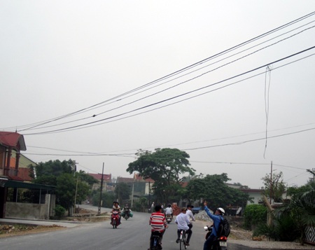 Hay len lỏi qua các gốc cây lớn bên đường...