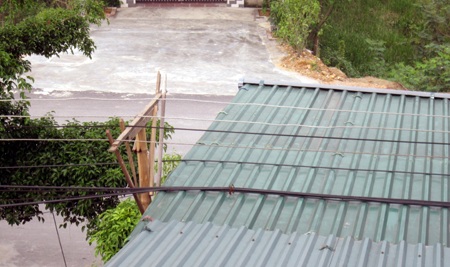 Giây điện trần bò trên mái tôn.