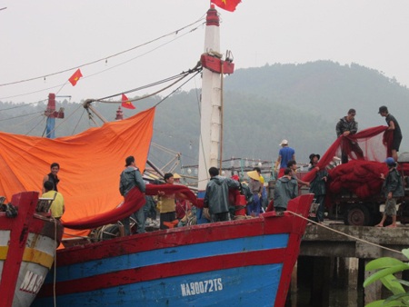 Ngư dân Quỳnh Long (Quỳnh Lưu) thu lưới tránh bão.