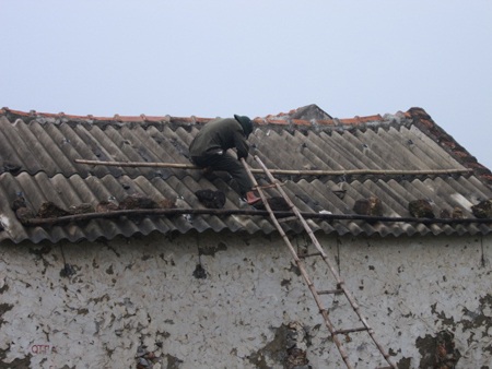 Nẹp mái những kho muối tại huyện Quỳnh Lưu.