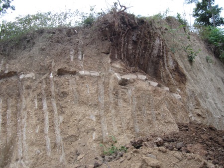 Đoạn tường thành đá nằm sâu trong lòng đất.