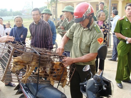 Thủ đoạn mới của bọn cẩu tặc là dùng bộ kích điện để bắt chó.