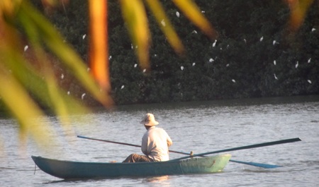 Chiều về cũng là lúc ng