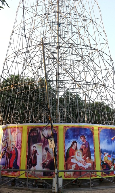 Ngàn lẻ một kiểu thông Noel chào đón Giáng sinh