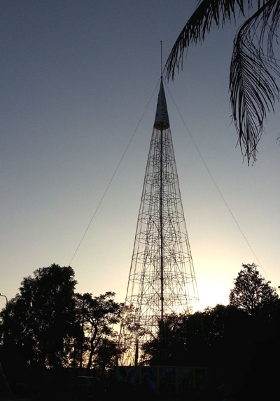 Ngàn lẻ một kiểu thông Noel chào đón Giáng sinh