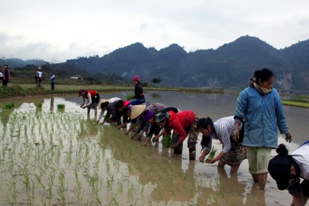 Nô nức hội xuống đồng 2012 - 5