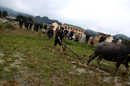 Nô nức hội xuống đồng 2012 - 3