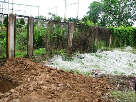 1 triệu liều vắc - xin phòng cúm gia cầm - 1 1 triệu liều vắc - xin phòng cúm gia cầm - 1