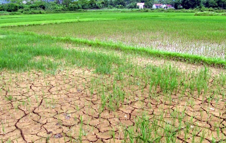 Xót xa nơi đầu nguồn “dòng suối đen” - 9