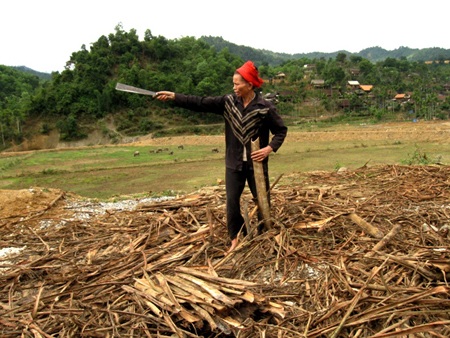 Xót xa nơi đầu nguồn “dòng suối đen” - 1