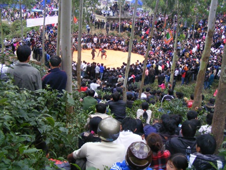 Sôi động đấu vật, đua thuyền tại lễ hội Vua Mai - 8