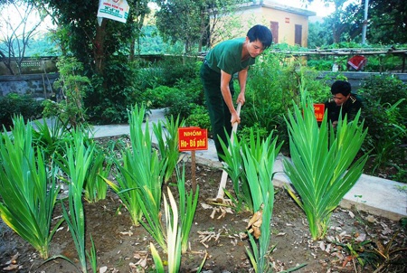 Những thầy thuốc mang quân hàm xanh ở miền biên viễn  - 8