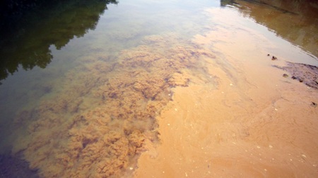 Cận cảnh dòng sông xanh trong bị nước thải "xâm lấn" - 6